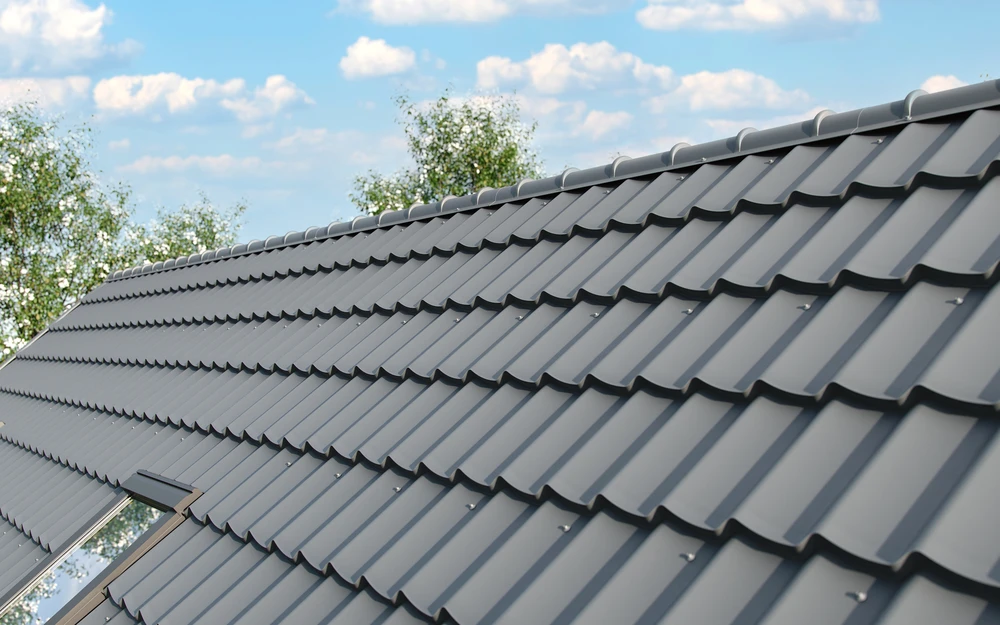 Toiture en ardoises naturelles recouverte de mousse verte, photographiée en extérieur avec arrière-plan flou de végétation